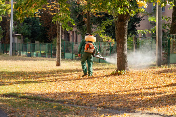 Best Cockroach Control Services  in Hannahs Mill, GA